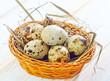 quail eggs
