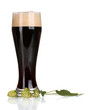 dark beer in a glass and green hop isolated on white