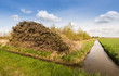 Stacked osiers in a Dutch polder landscape