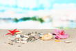 Stones in the sand on the sea background
