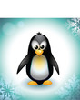 Baby Penguin