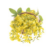beautiful bouquet yellow acacia, flowers in a basket