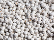 Sugar-coated nuts