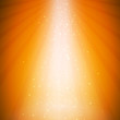 Vector Illustration of a Natural Orange Background