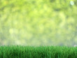 Illustration: Fresh grass Fresh grass