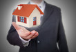 Businessman showing a little house