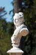 Photo: statue du château de Versailles statue du château de Versailles