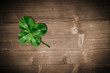 Foto: good luck good luck