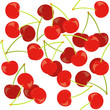 red berry cherry. Seamless