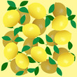 yellow lemons