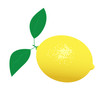 yellow lemons
