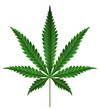 大麻