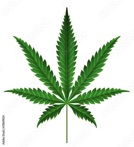 Illustration: 大麻 大麻