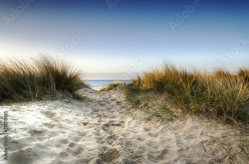 Photo: Path through the Dunes Path through the Dunes