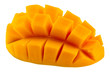 Foto: mangue mangue