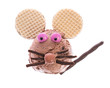 the funny ice cream mouse