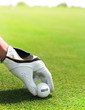 Golf player man holding golf ball