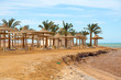 Beach with palm trees in Egypt