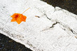Urban leaf