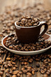 Foto: Kaffeebohnen Kaffeebohnen