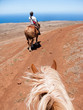 Horse and Rider