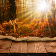 Old wooden table in autumn forest