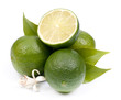 Foto: Fresh limes Fresh limes