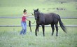 Natural Horsemanship. movement, Motion.
