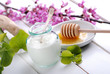 Photo: yogurt magro fatto in casa yogurt magro fatto in casa