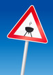 Grillen