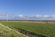 wind turbines farm