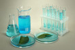 test-tubes and leaves tested in petri dishes on grey background