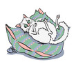 Funny white cat lying on a pillow