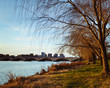 Rosslyn Virginia From The Banks Of The Potomac River