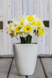 Bouquet of fresh daffodils in white ceramic vase on grey wooden