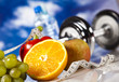 Fitness Food 