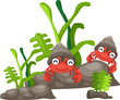 Illustration of hermit crab white background