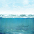 Himmel Wasser Hai Hintergrund 3D