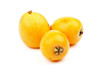 Loquat Medlar Fruit