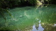 Green lake background