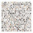 Large group of 471 cats breeds in front of a white background