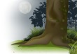 Night Scene - Cartoon Background