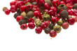 Collection of Pepper seeds