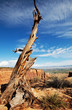 Photo: Canyon Canyon
