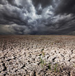 Photo: Drought land Drought land