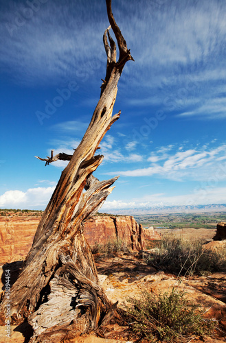 Photo: Canyon Canyon