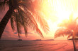 Tropical beach