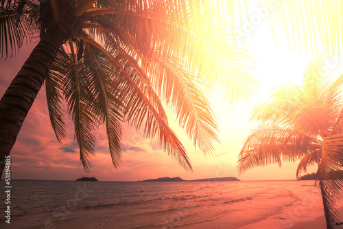 Photo: Tropical beach Tropical beach