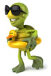 Fun turtle
