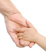 grandfather's hand lead his grandson. isolated on white 